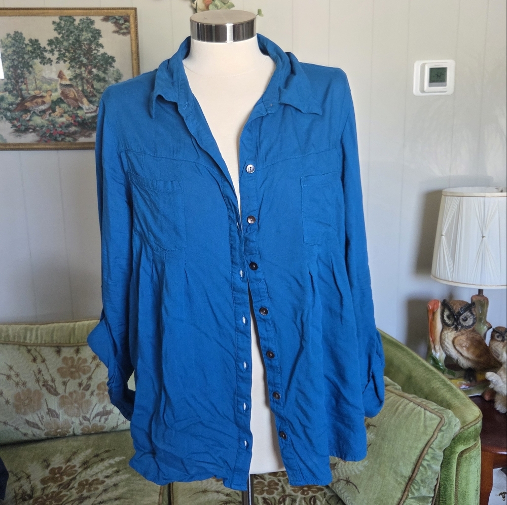 Style & Co. Blue Button Down